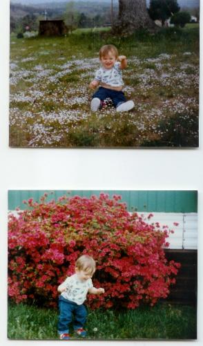 scan0002